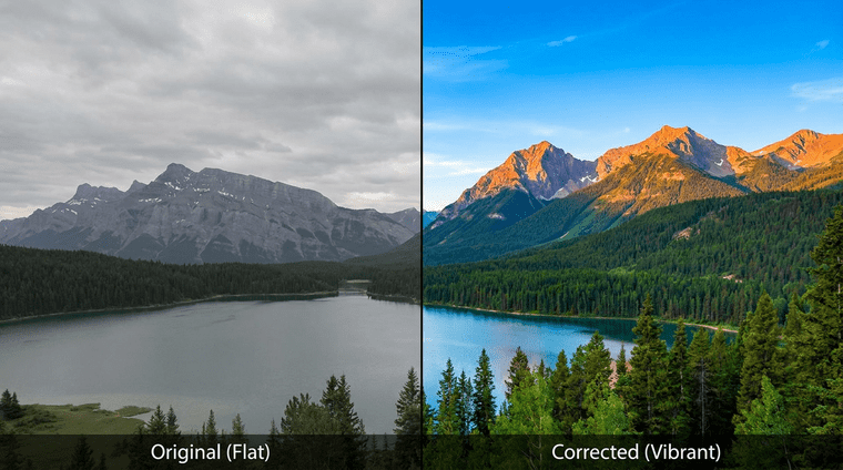 Color & Light Adjustments